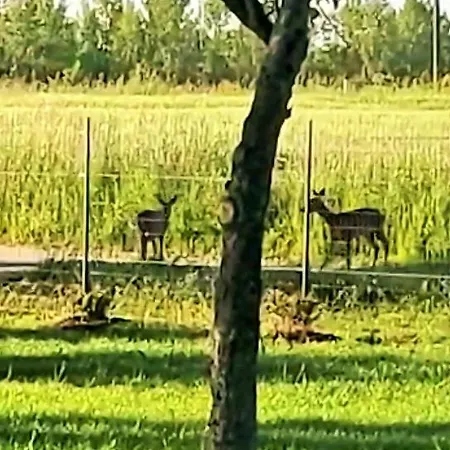 Nyaraló Le Nature Primeur Clim Gaillac Entre Albi-toulouse & Les Du Tarn *