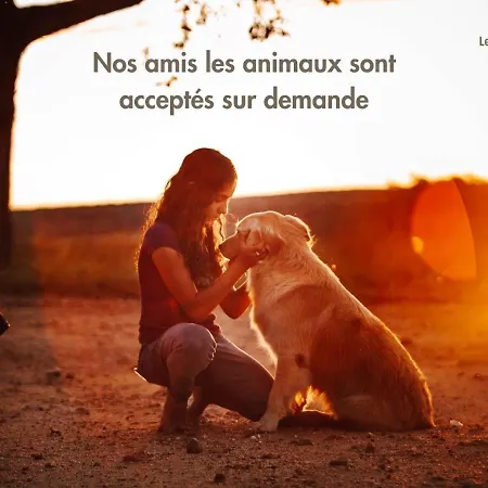 Le Nature Primeur Clim Gaillac Entre Albi-toulouse & Les Du Tarn