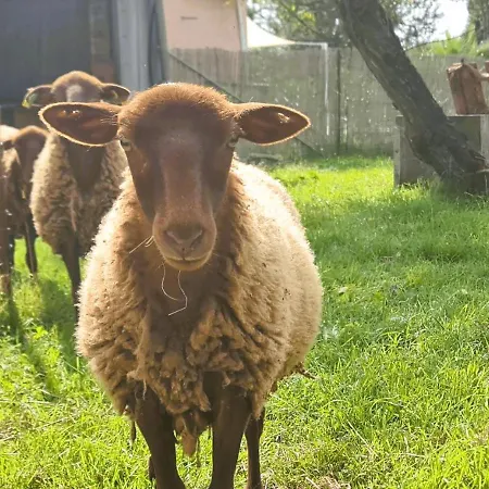 Le Nature Primeur Clim Gaillac Entre Albi-toulouse & Les Du Tarn Nyaraló