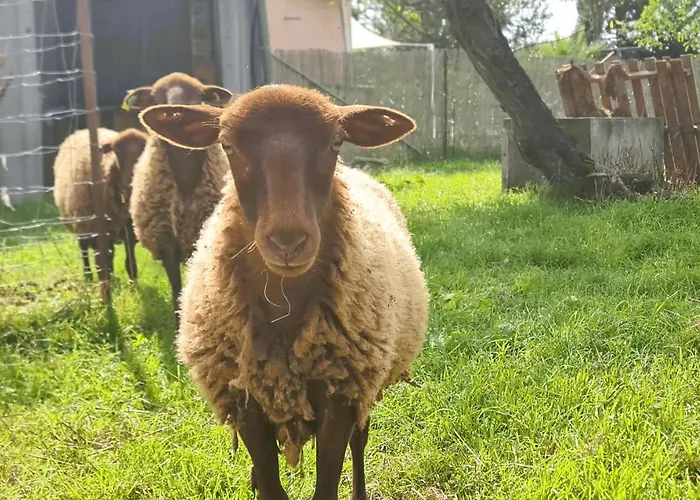Le Nature Primeur Clim Gaillac Entre Albi-toulouse & Les Du Tarn Ferienhaus