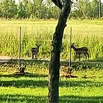 Semesterbostad Le Nature Primeur Clim Gaillac Entre Albi-toulouse & Les Du Tarn *