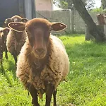 Le Nature Primeur Clim Gaillac Entre Albi-toulouse & Les Du Tarn Semesterbostad