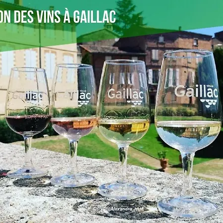 Le Nature Primeur Sauna Gaillac Entre Albi-toulouse & Les Du Tarn Holiday home Brens (Tarn)