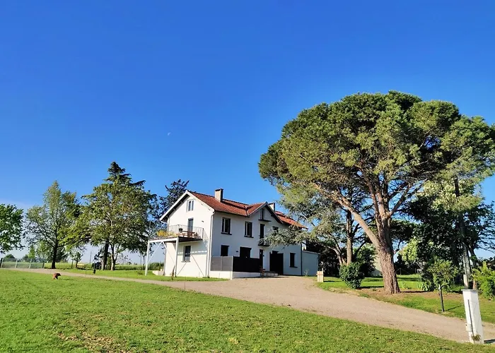 Le Nature Primeur Clim Gaillac Entre Albi-toulouse & Les Du Tarn 펜션