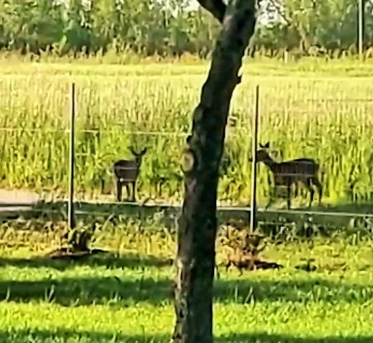 펜션 Le Nature Primeur Clim Gaillac Entre Albi-toulouse & Les Du Tarn *