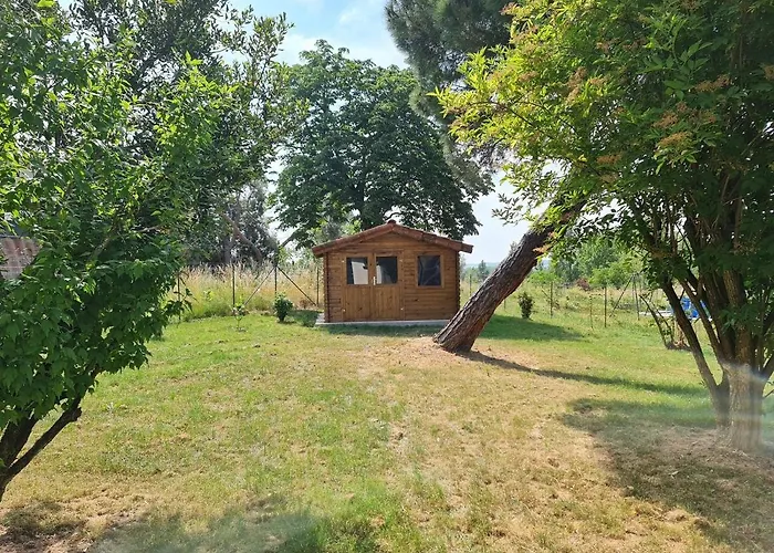 Le Nature Primeur Clim Gaillac Entre Albi-toulouse & Les Du Tarn *